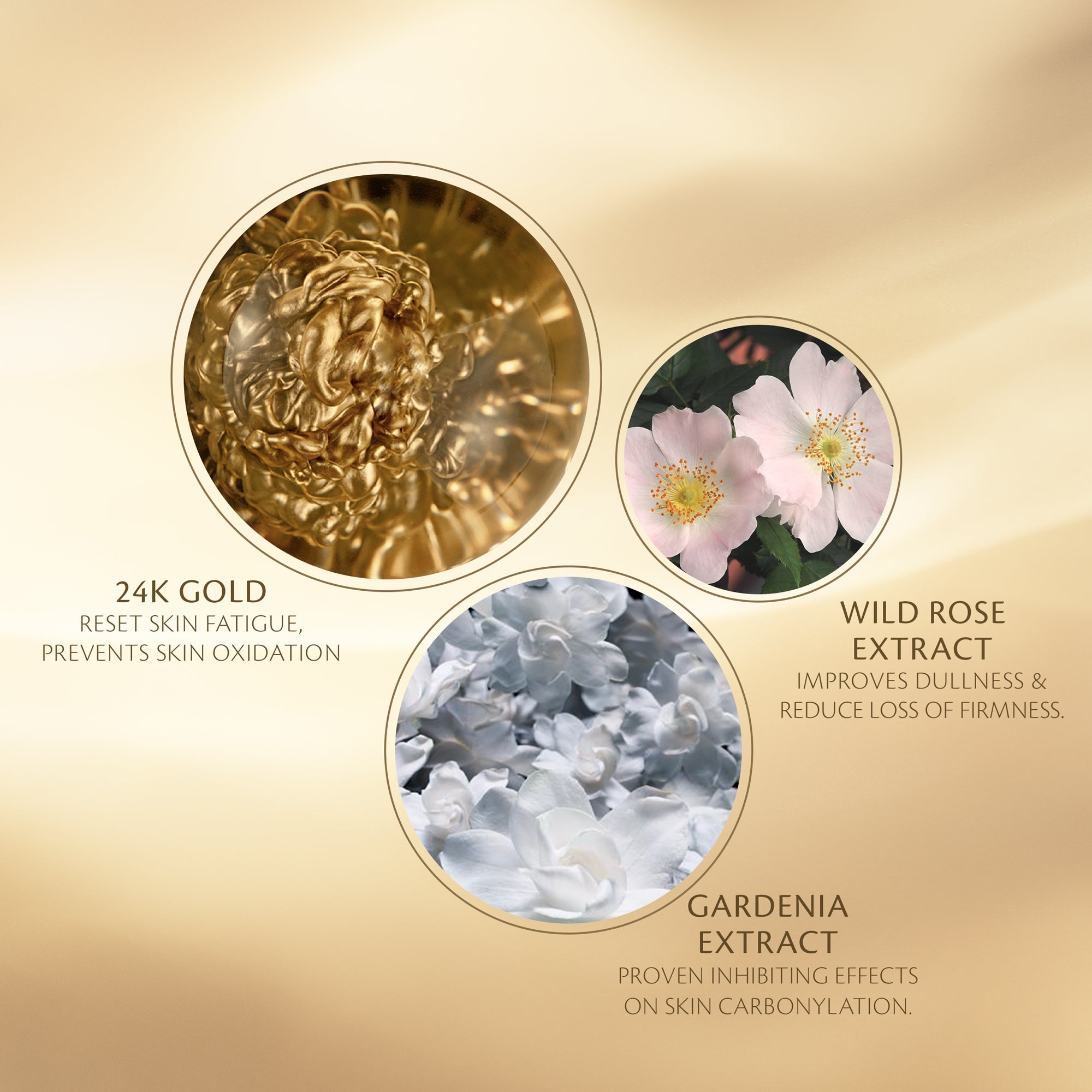 s/files/1/0911/6739/2086/files/10116473101_5.jpg?v=1772623297