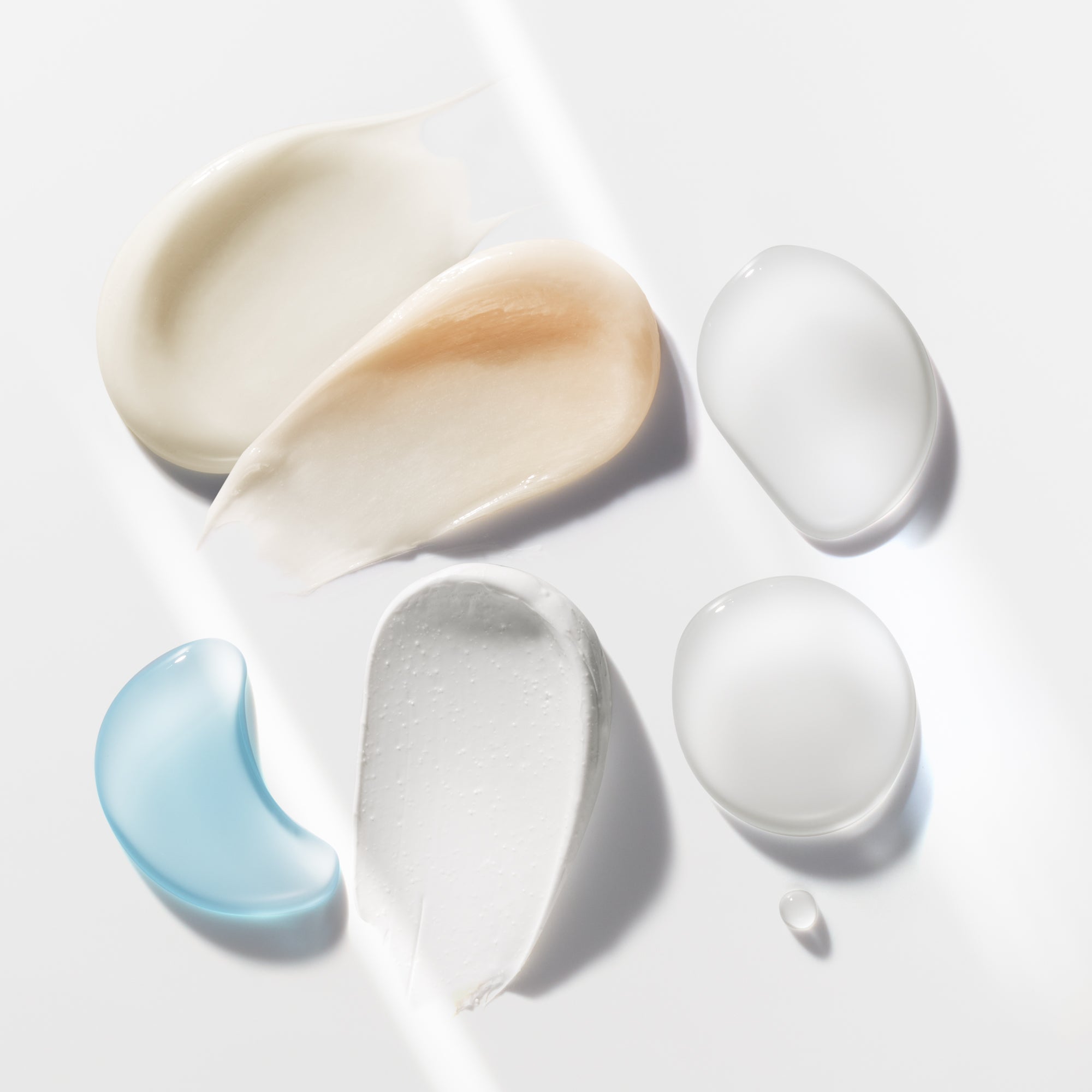 s/files/1/0911/6739/2086/files/10117164101_4.jpg?v=1772623373