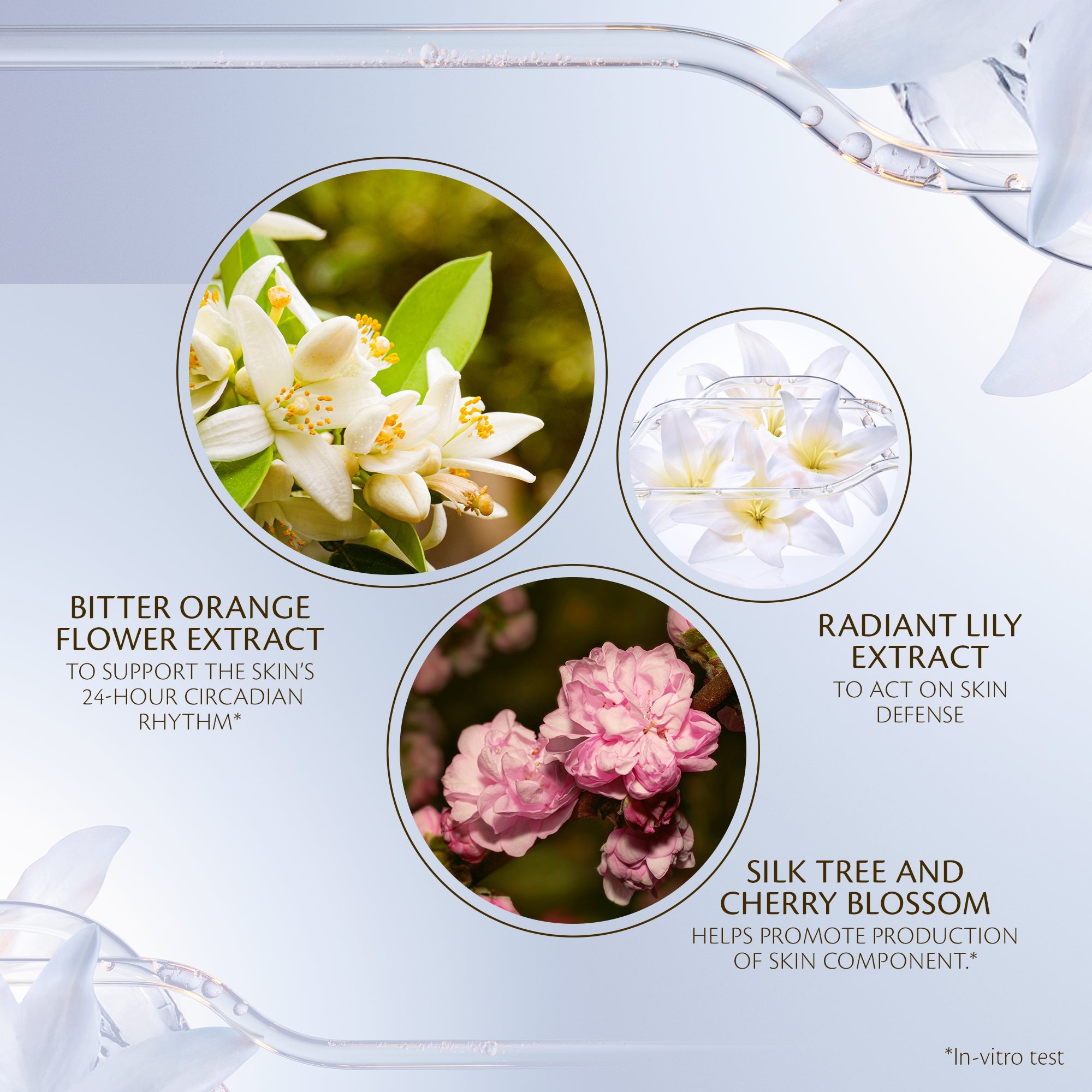 s/files/1/0911/6739/2086/files/10122663101_5.jpg?v=1772624211