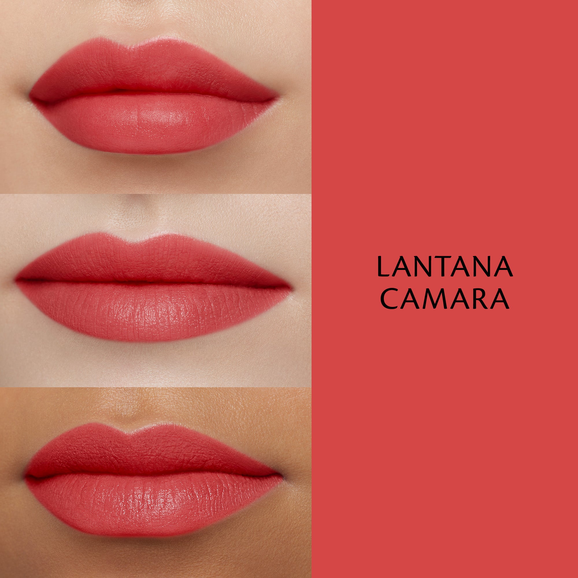 Cream Rouge Matte