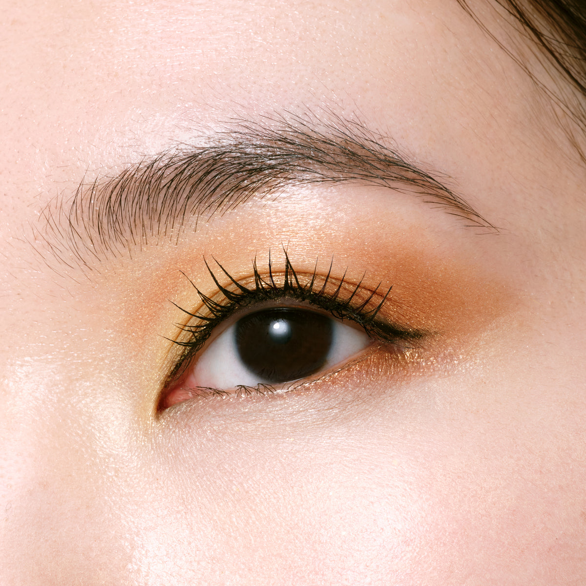 EYE COLOR QUAD LIMITED EDITION