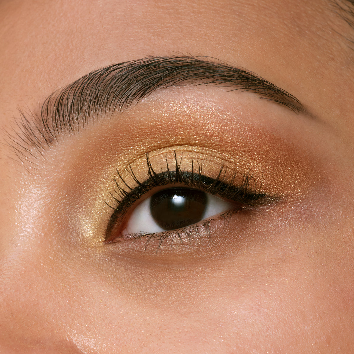 EYE COLOR QUAD LIMITED EDITION