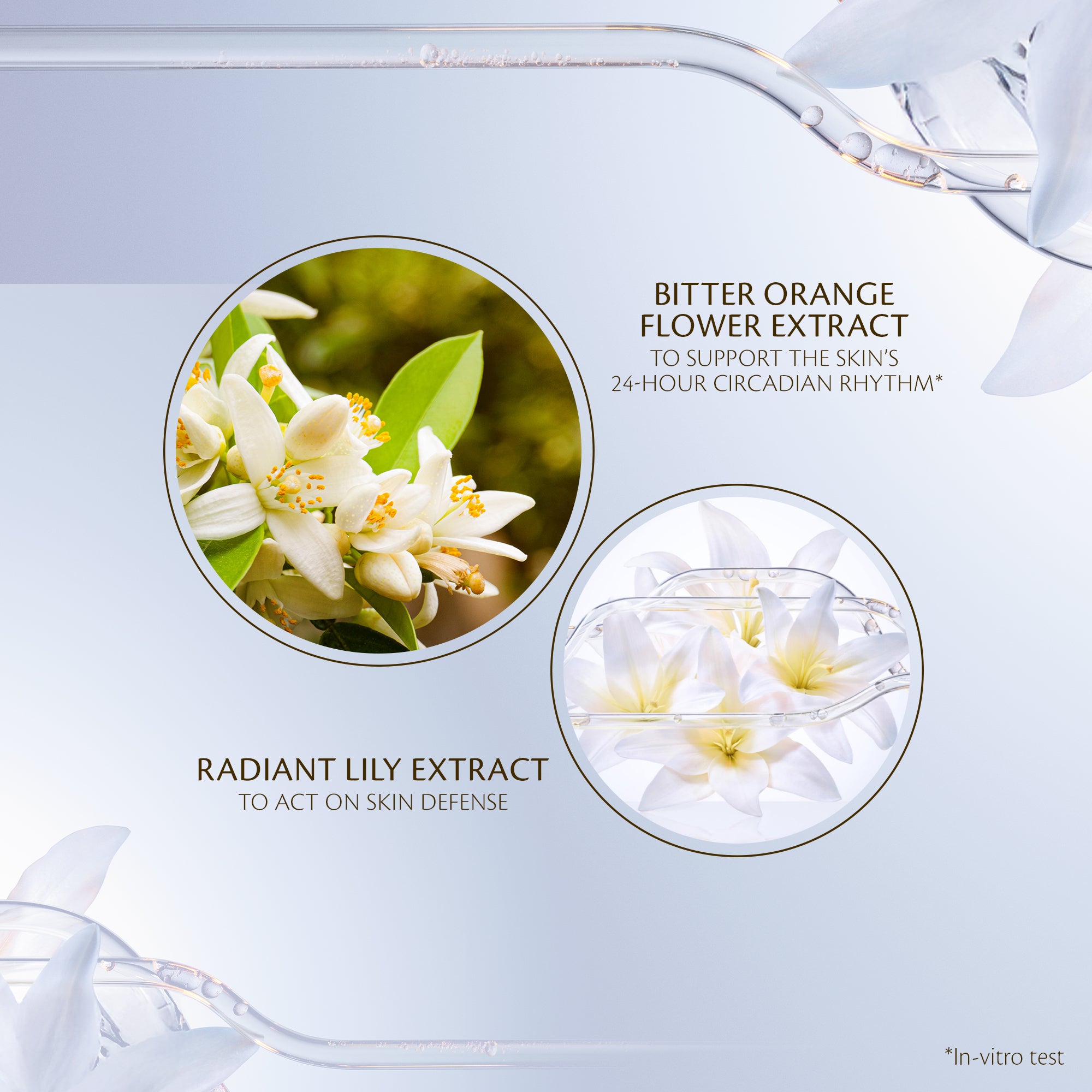 Intensive Night Emulsion